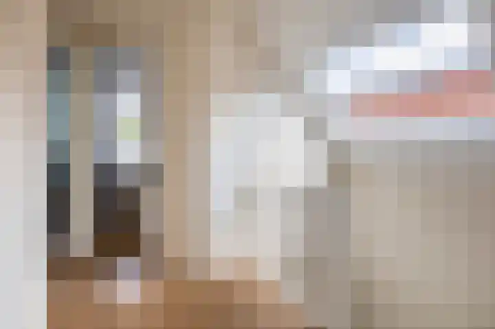 Christiaan de Vrieslaan 16 Middelharnis thumbnail 18
