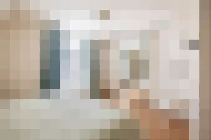 Christiaan de Vrieslaan 16 Middelharnis thumbnail 19