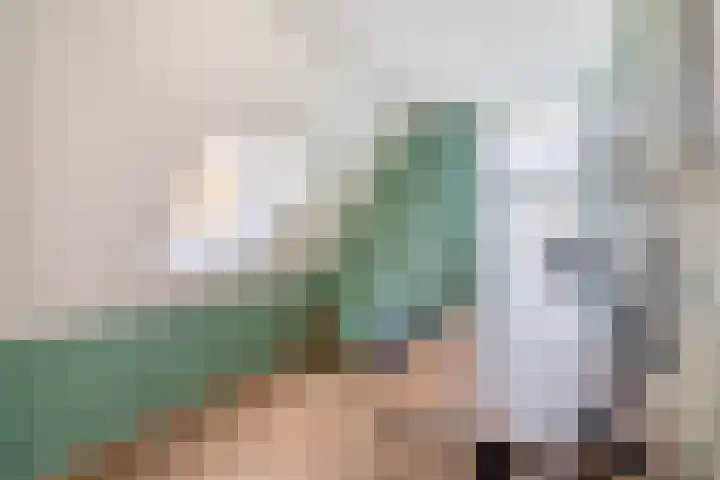 Christiaan de Vrieslaan 16 Middelharnis thumbnail 21