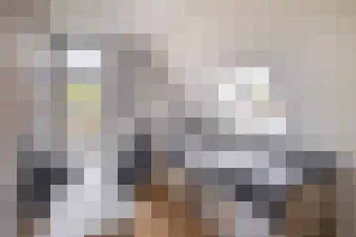 Christiaan de Vrieslaan 16 Middelharnis thumbnail 22