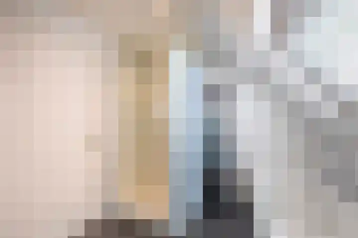 Christiaan de Vrieslaan 16 Middelharnis thumbnail 24