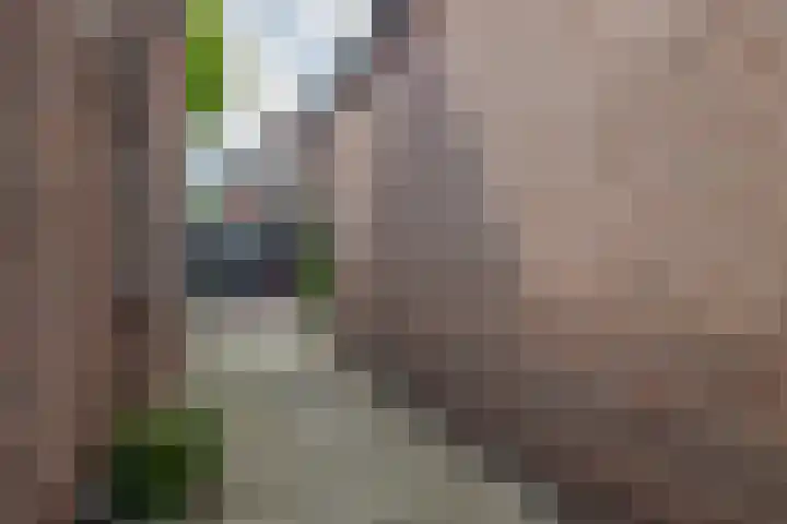 Christiaan de Vrieslaan 16 Middelharnis thumbnail 27