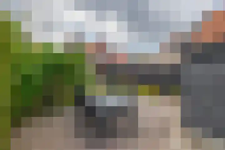 Christiaan de Vrieslaan 16 Middelharnis thumbnail 30