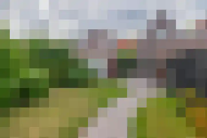 Christiaan de Vrieslaan 16 Middelharnis thumbnail 31