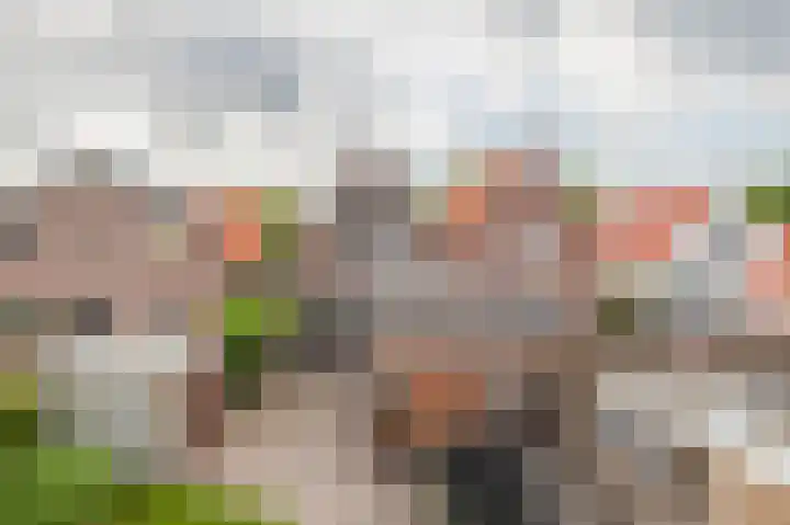 Christiaan de Vrieslaan 16 Middelharnis thumbnail 32