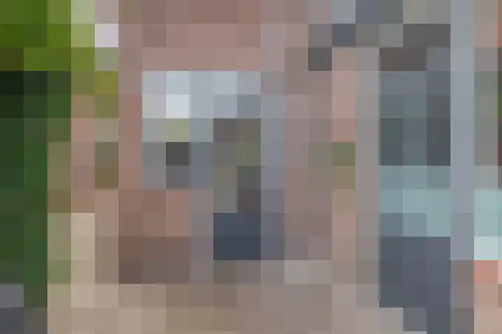 Christiaan de Vrieslaan 16 Middelharnis thumbnail 34