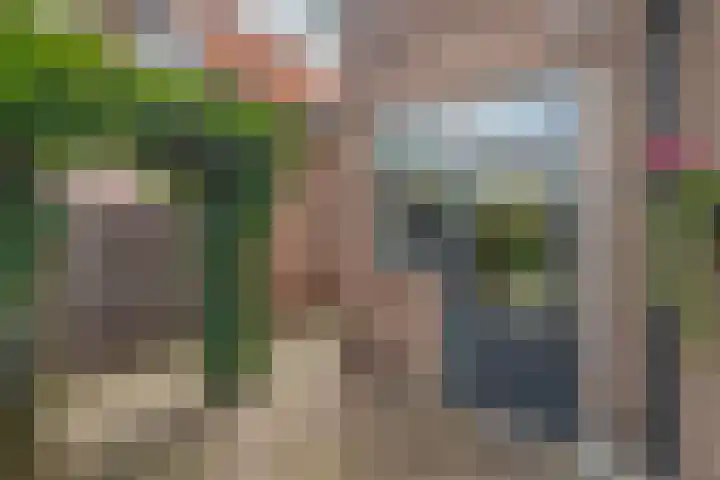 Christiaan de Vrieslaan 16 Middelharnis thumbnail 35