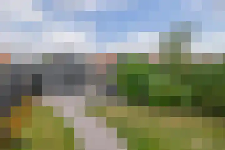 Christiaan de Vrieslaan 16 Middelharnis thumbnail 4