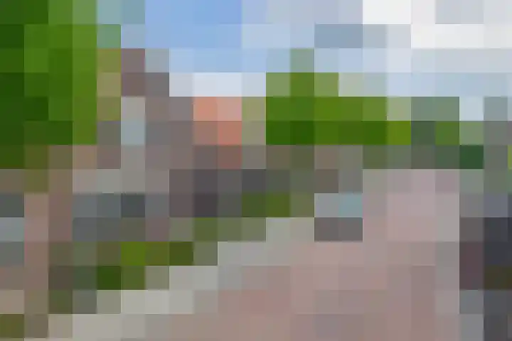 Christiaan de Vrieslaan 16 Middelharnis thumbnail 5