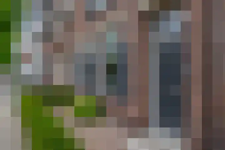 Christiaan de Vrieslaan 16 Middelharnis thumbnail 6