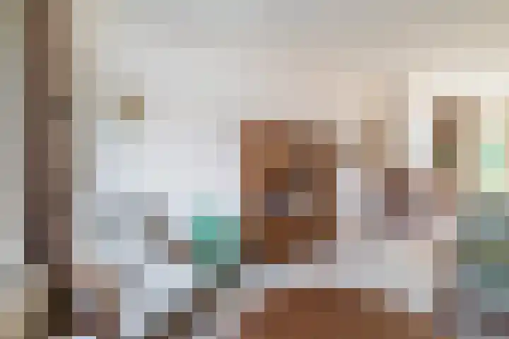 Christiaan de Vrieslaan 31 Middelharnis thumbnail 10
