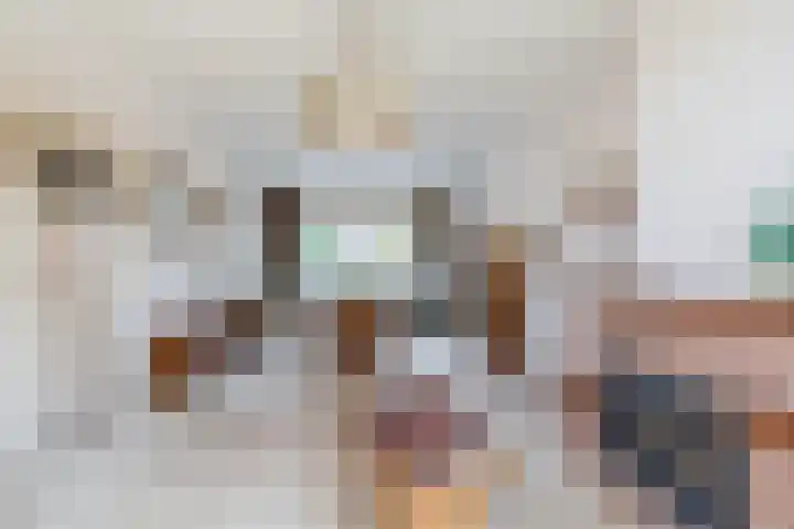 Christiaan de Vrieslaan 31 Middelharnis thumbnail 12