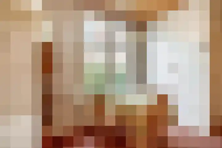 Christiaan de Vrieslaan 31 Middelharnis thumbnail 14