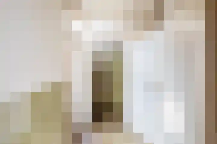 Christiaan de Vrieslaan 31 Middelharnis thumbnail 18
