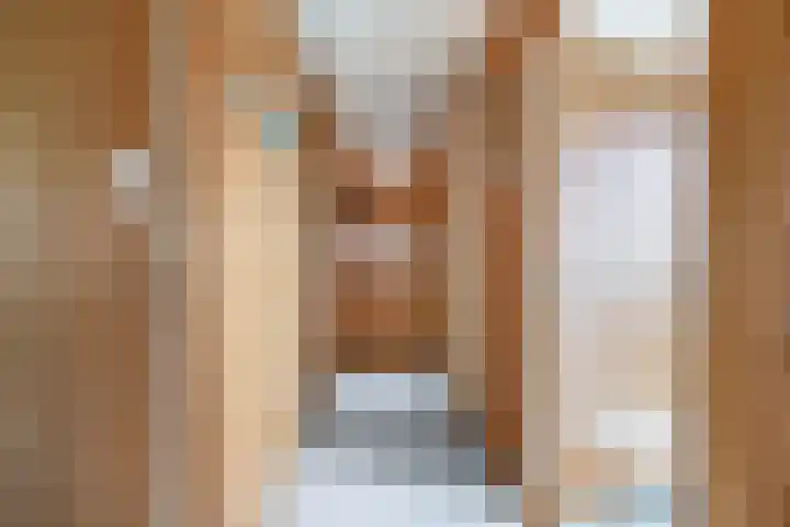 Christiaan de Vrieslaan 31 Middelharnis thumbnail 22