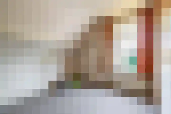 Christiaan de Vrieslaan 31 Middelharnis thumbnail 23