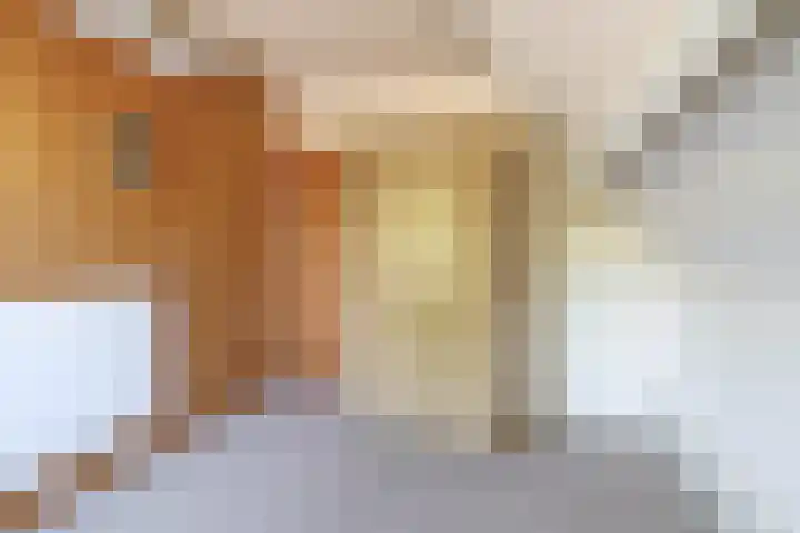 Christiaan de Vrieslaan 31 Middelharnis thumbnail 24