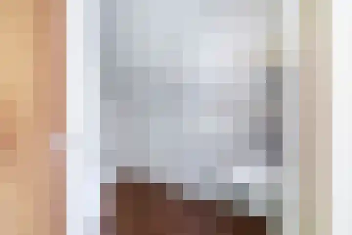 Christiaan de Vrieslaan 31 Middelharnis thumbnail 25