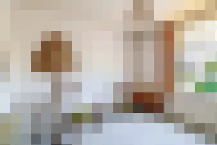 Christiaan de Vrieslaan 31 Middelharnis thumbnail 28