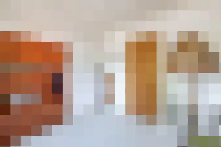 Christiaan de Vrieslaan 31 Middelharnis thumbnail 29