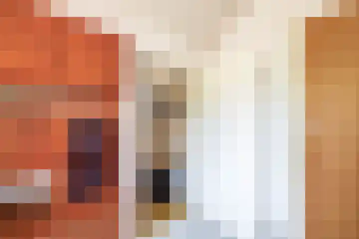 Christiaan de Vrieslaan 31 Middelharnis thumbnail 30