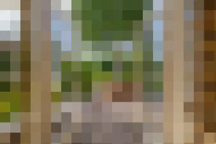 Christiaan de Vrieslaan 31 Middelharnis thumbnail 34