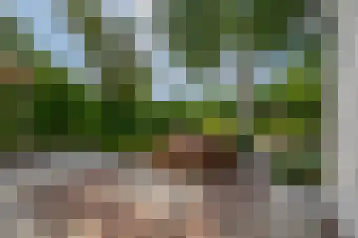 Christiaan de Vrieslaan 31 Middelharnis thumbnail 36
