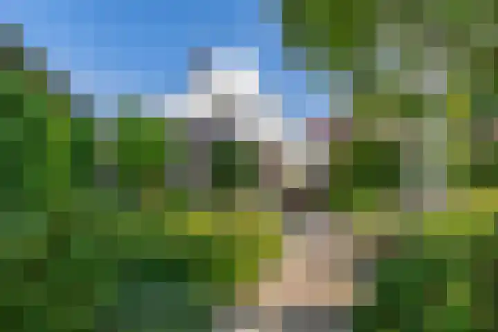 Christiaan de Vrieslaan 31 Middelharnis thumbnail 37