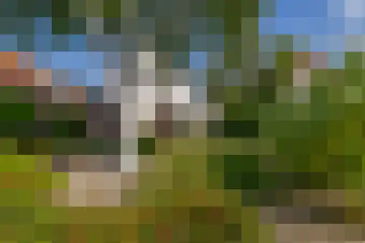 Christiaan de Vrieslaan 31 Middelharnis thumbnail 38
