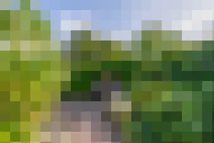 Christiaan de Vrieslaan 31 Middelharnis thumbnail 39
