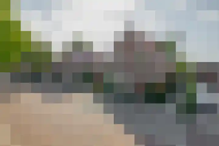 Christiaan de Vrieslaan 31 Middelharnis thumbnail 4