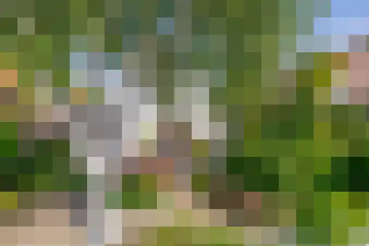 Christiaan de Vrieslaan 31 Middelharnis thumbnail 40