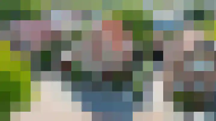 Christiaan de Vrieslaan 31 Middelharnis thumbnail 41
