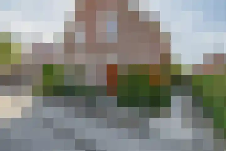 Christiaan de Vrieslaan 31 Middelharnis thumbnail 5