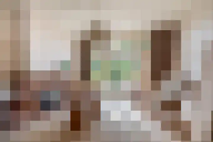 Christiaan de Vrieslaan 31 Middelharnis thumbnail 8