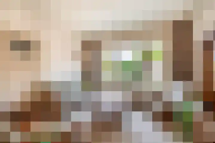Christiaan de Vrieslaan 31 Middelharnis thumbnail 9