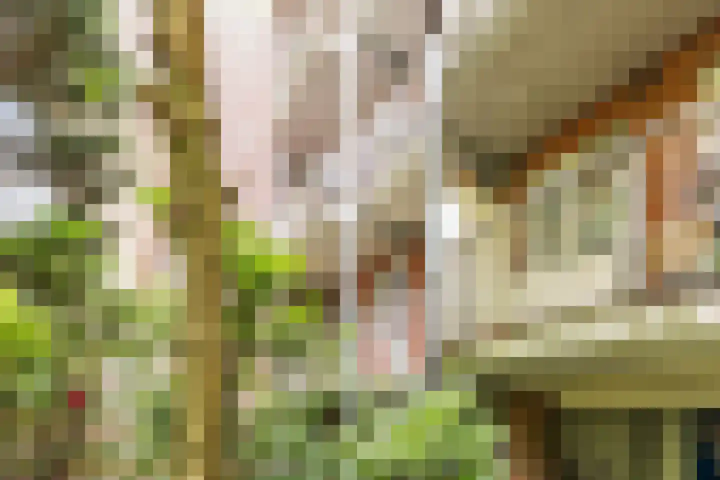 Christiaan de Wetstraat 19 H Amsterdam thumbnail 29