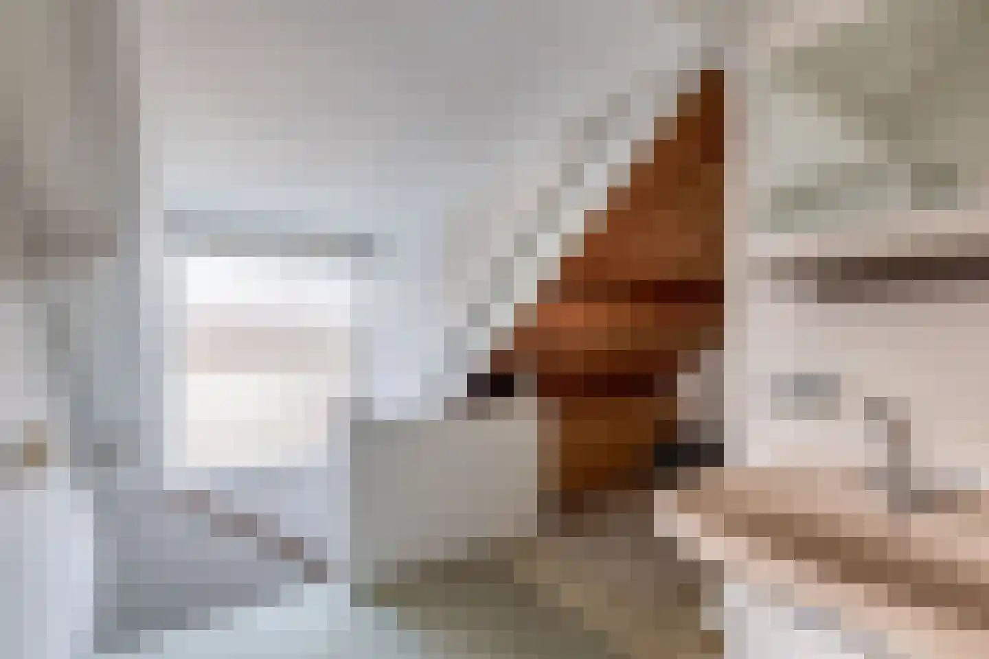 Christiaan de Wetstraat 2 A Oosterbeek thumbnail 32