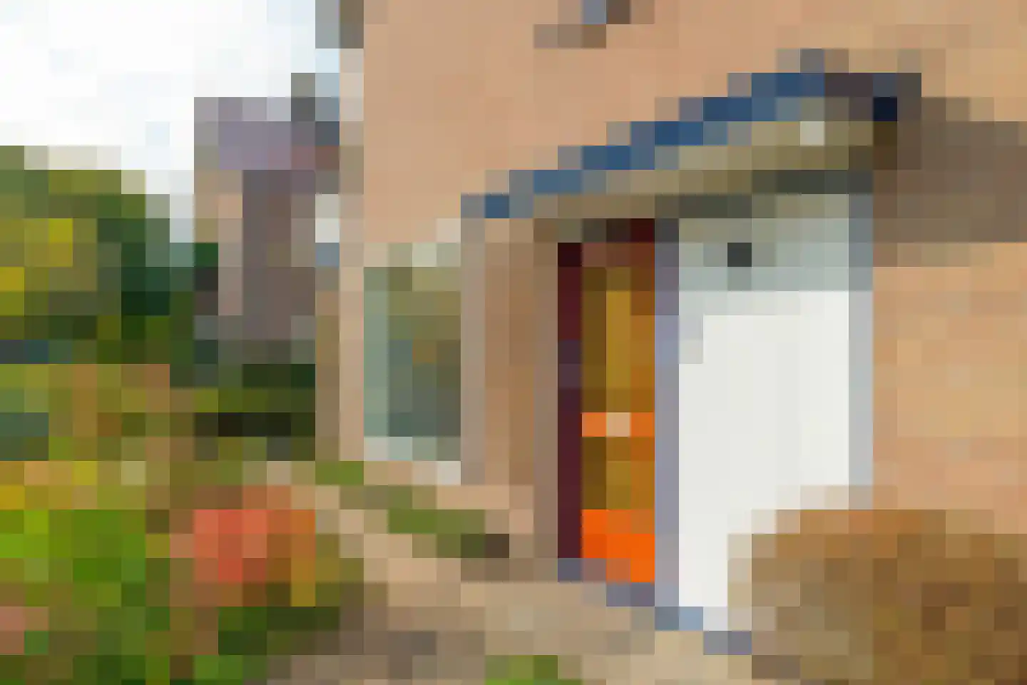 Christiaan de Wetstraat 2 A Oosterbeek thumbnail 4