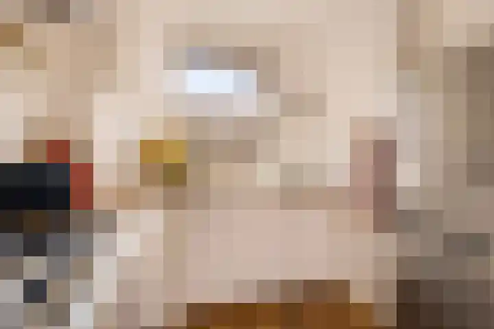 Christiaan de Wetstraat 260 Amsterdam thumbnail 20