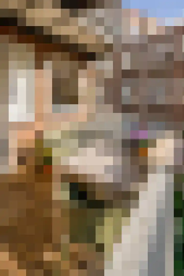 Christiaan de Wetstraat 260 Amsterdam thumbnail 31
