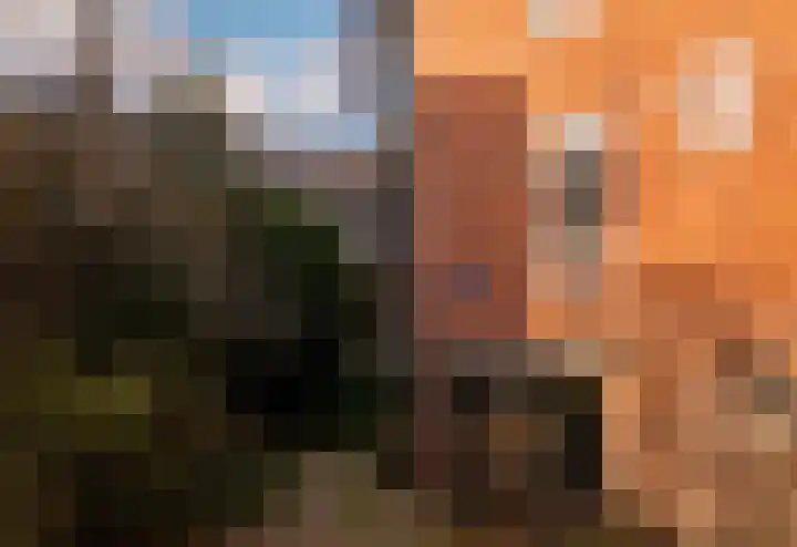 Christiaan de Wetstraat 7 2 Amsterdam thumbnail 27