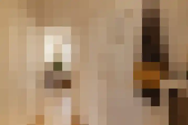 Christiaan de Wetstraat 7 2 Amsterdam thumbnail 9