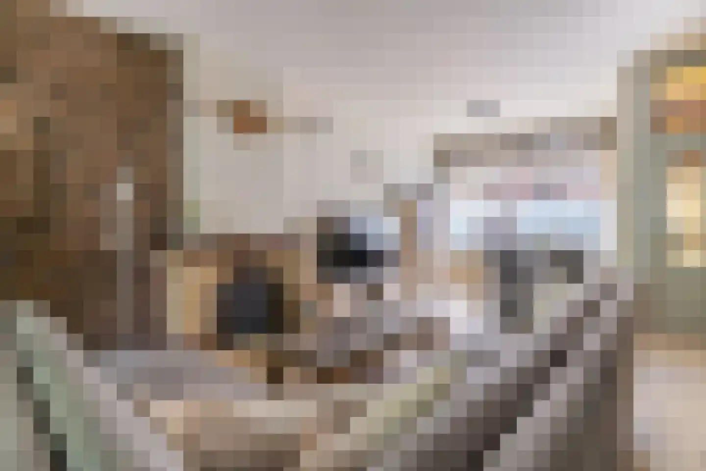 Christiaan de Wetstraat 7 Dordrecht thumbnail 17