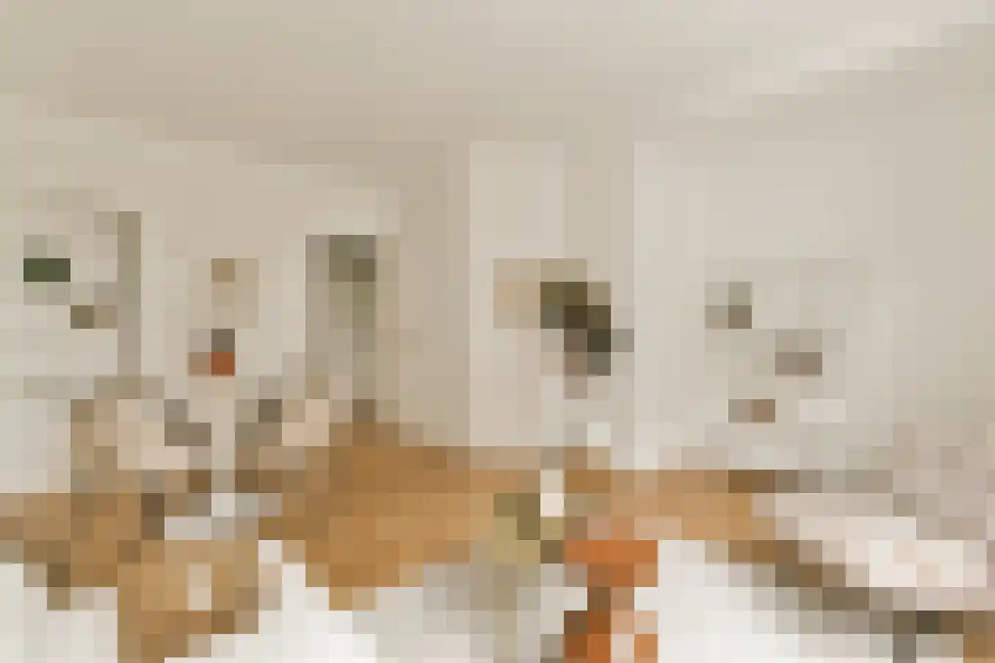 Christiaan de Wetstraat 9 2 Amsterdam thumbnail 8
