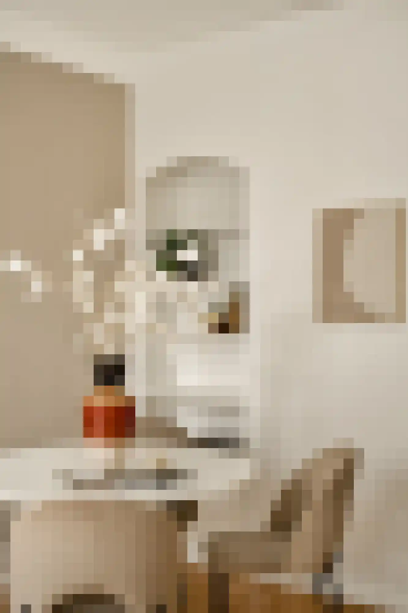Christiaan de Wetstraat 9 2 Amsterdam thumbnail 9