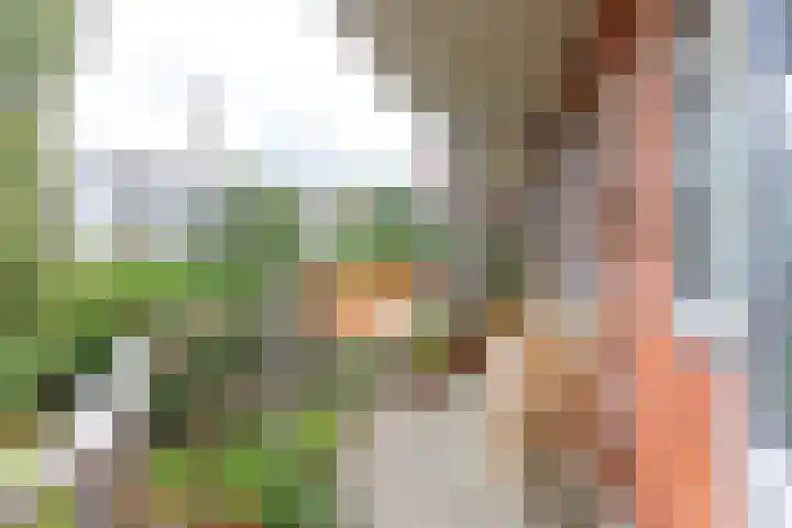 Christiaan de Wetstraat 9 3 Amsterdam thumbnail 8