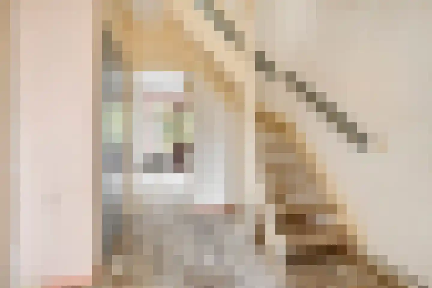 Christiaan Eberhardstraat 12 Bad Nieuweschans thumbnail 15