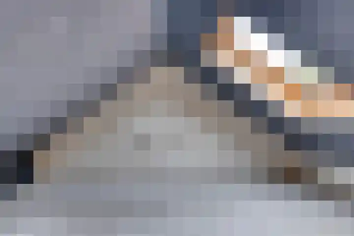 Christiaan Eberhardstraat 32 Bad Nieuweschans thumbnail 28
