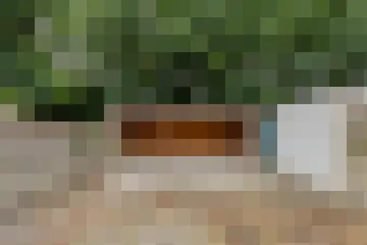 Christiaan Eberhardstraat 32 Bad Nieuweschans thumbnail 33